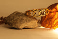 Autumn Bangle